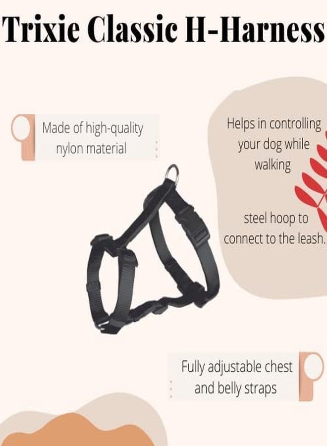Trixie: - Classic H-Harness for Dogs | Made Nylon, Lightweight and Fully Adjustable Straps | Great Alternative to a Collar and Lead When Walking Your Pet - (50-75 cm/20 mm, M-L) Black - Image 5